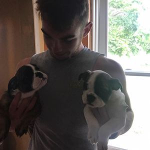 Meet your Posher, Dylan